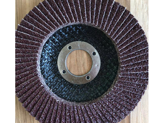 2021 Selling the best quality cost-effective products FLAP DISC 
